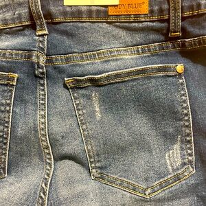 Judy Blue jean shorts